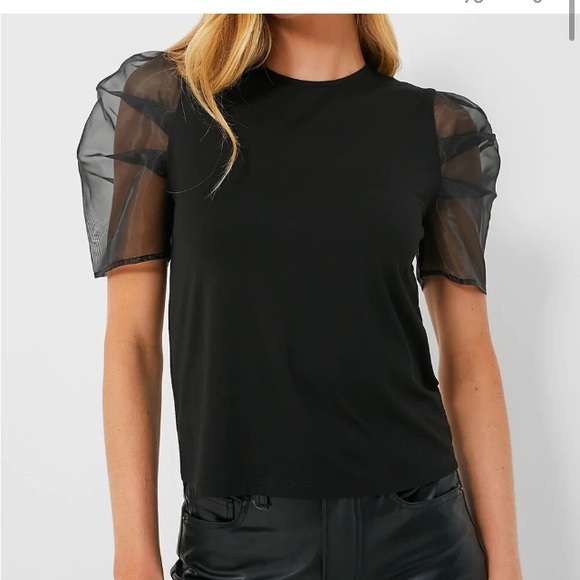 Tuckernuck Tops - Organza puff sleeve dressy top from English Factory M